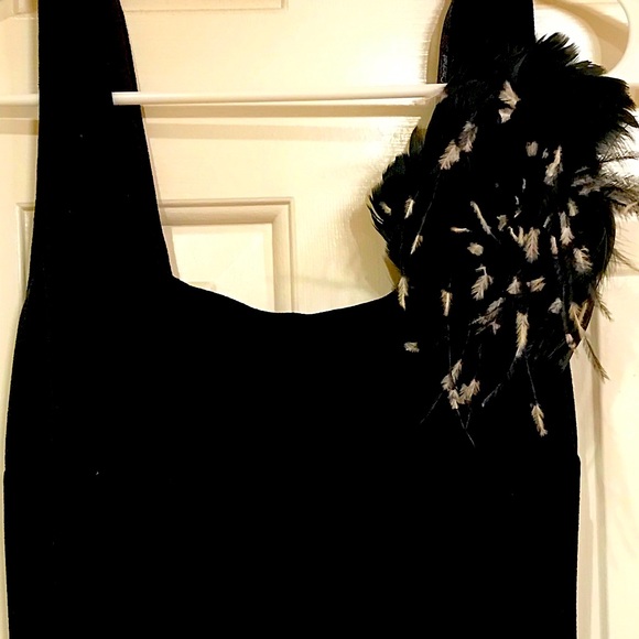 Black Velvet Dress with lots of Feathers on top and bottom of dress! Beautiful! - Picture 2 of 4